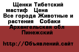  Щенки Тибетский мастиф › Цена ­ 50 000 - Все города Животные и растения » Собаки   . Архангельская обл.,Пинежский 